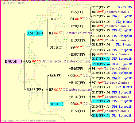 Pedigree of B465(FF) :
four generations presented