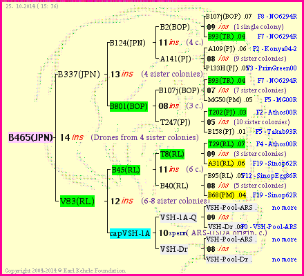 Pedigree of B465(JPN) :
four generations presented<br />it's temporarily unavailable, sorry!