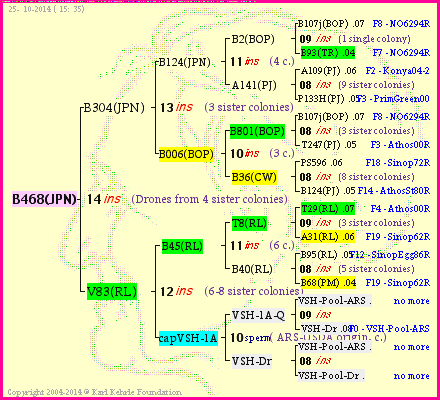 Pedigree of B468(JPN) :
four generations presented
it's temporarily unavailable, sorry!