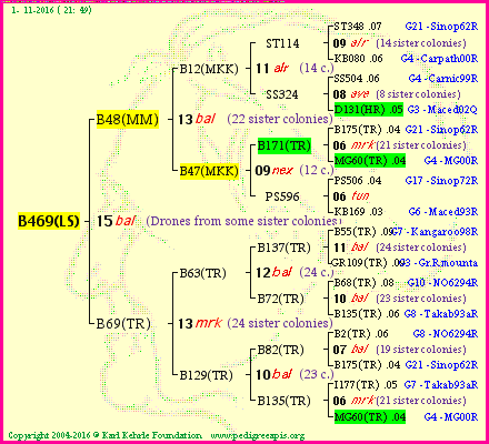 Pedigree of B469(LS) :
four generations presented<br />it's temporarily unavailable, sorry!