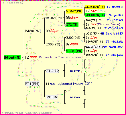 Pedigree of B46a(PN) :
four generations presented