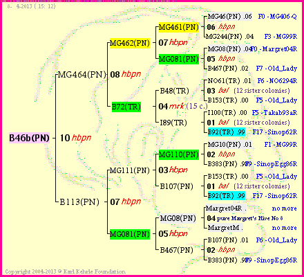 Pedigree of B46b(PN) :
four generations presented