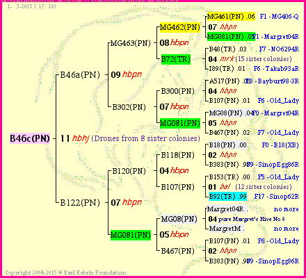 Pedigree of B46c(PN) :
four generations presented