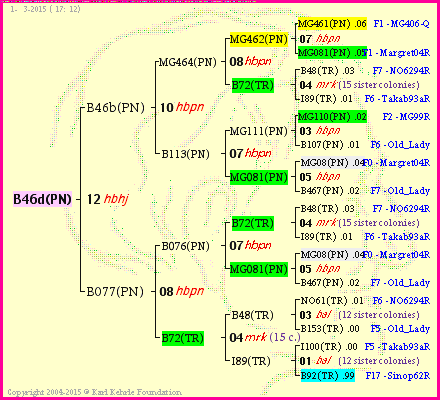 Pedigree of B46d(PN) :
four generations presented