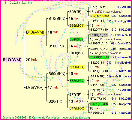 Pedigree of B47(AVM) :
four generations presented
it's temporarily unavailable, sorry!