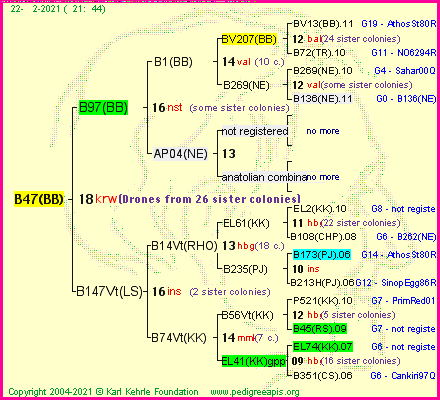 Pedigree of B47(BB) :
four generations presented
it's temporarily unavailable, sorry!