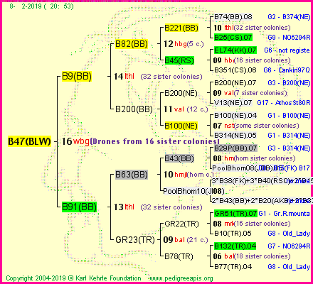 Pedigree of B47(BLW) :
four generations presented<br />it's temporarily unavailable, sorry!