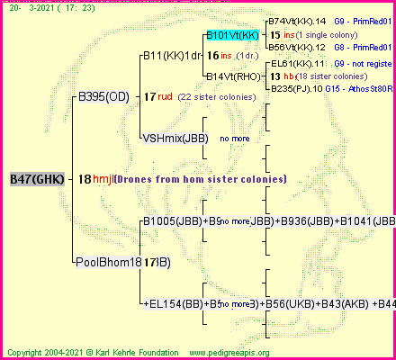 Pedigree of B47(GHK) :
four generations presented
it's temporarily unavailable, sorry!