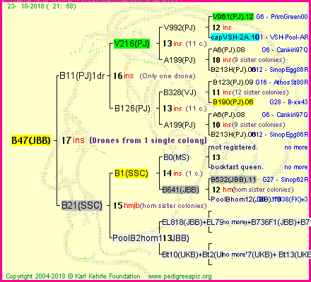 Pedigree of B47(JBB) :
four generations presented<br />it's temporarily unavailable, sorry!