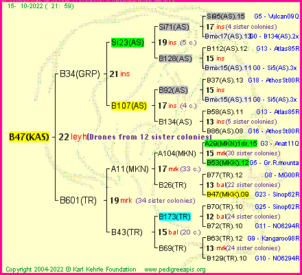 Pedigree of B47(KAS) :
four generations presented
it's temporarily unavailable, sorry!