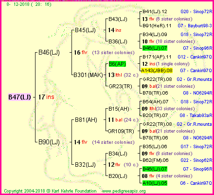 Pedigree of B47(LJ) :
four generations presented<br />it's temporarily unavailable, sorry!