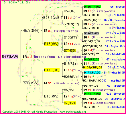 Pedigree of B47(MW) :
four generations presented
it's temporarily unavailable, sorry!