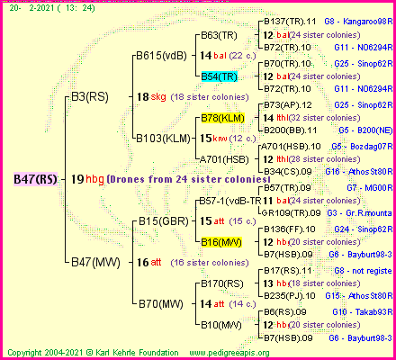 Pedigree of B47(RS) :
four generations presented
it's temporarily unavailable, sorry!