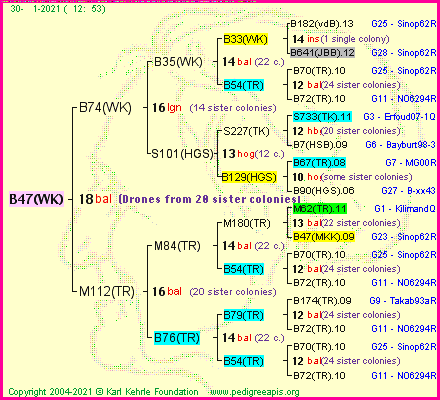 Pedigree of B47(WK) :
four generations presented
it's temporarily unavailable, sorry!