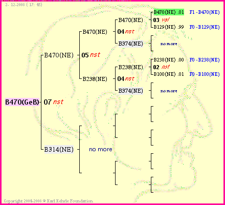 Pedigree of B470(GeB) :
four generations presented