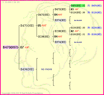 Pedigree of B470(HST) :
four generations presented