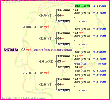 Pedigree of B470(LB) :
four generations presented