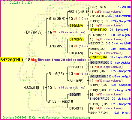 Pedigree of B4726(CHU) :
four generations presented
it's temporarily unavailable, sorry!