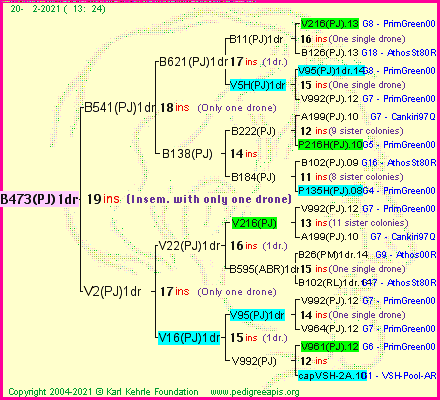 Pedigree of B473(PJ)1dr :
four generations presented
it's temporarily unavailable, sorry!