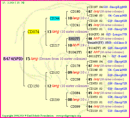 Pedigree of B474(SPD) :
four generations presented