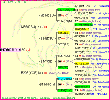 Pedigree of B476(DSU)1dr :
four generations presented
it's temporarily unavailable, sorry!