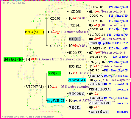 Pedigree of B476(JPN) :
four generations presented