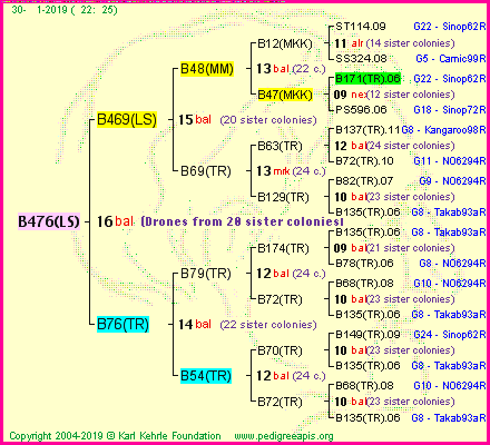 Pedigree of B476(LS) :
four generations presented<br />it's temporarily unavailable, sorry!