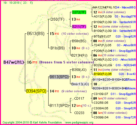 Pedigree of B47w(JYL) :
four generations presented<br />it's temporarily unavailable, sorry!