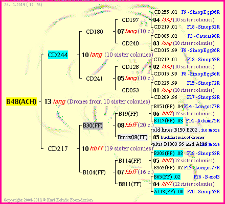 Pedigree of B48(ACH) :
four generations presented