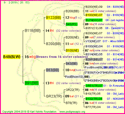 Pedigree of B48(BLW) :
four generations presented<br />it's temporarily unavailable, sorry!