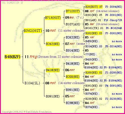 Pedigree of B48(BZF) :
four generations presented