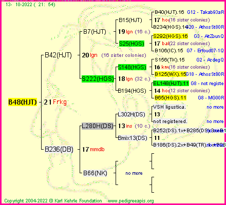 Pedigree of B48(HJT) :
four generations presented
it's temporarily unavailable, sorry!