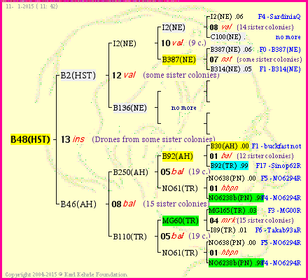 Pedigree of B48(HST) :
four generations presented