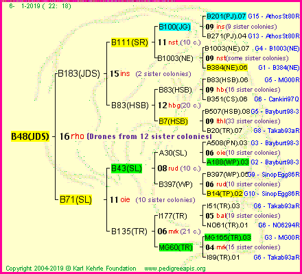 Pedigree of B48(JDS) :
four generations presented<br />it's temporarily unavailable, sorry!