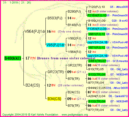 Pedigree of B48(KKI) :
four generations presented<br />it's temporarily unavailable, sorry!