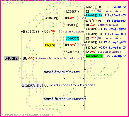 Pedigree of B48(RS) :
four generations presented