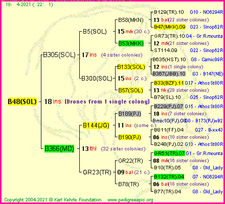 Pedigree of B48(SOL) :
four generations presented
it's temporarily unavailable, sorry!