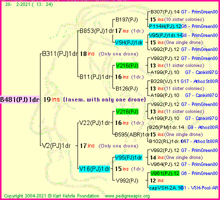 Pedigree of B481(PJ)1dr :
four generations presented
it's temporarily unavailable, sorry!