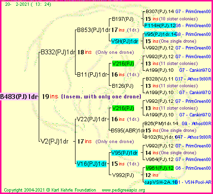 Pedigree of B483(PJ)1dr :
four generations presented
it's temporarily unavailable, sorry!