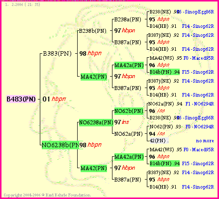 Pedigree of B483(PN) :
four generations presented