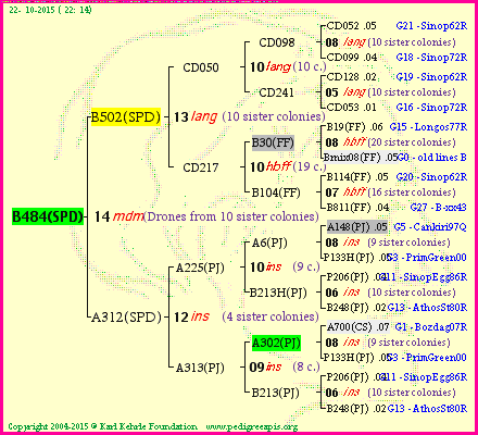 Pedigree of B484(SPD) :
four generations presented<br />it's temporarily unavailable, sorry!