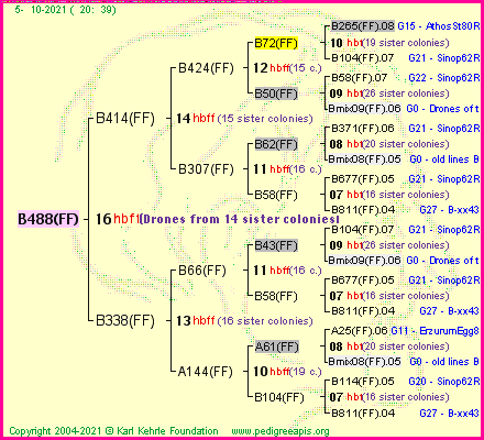 Pedigree of B488(FF) :
four generations presented
it's temporarily unavailable, sorry!