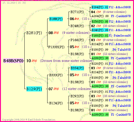 Pedigree of B48B(SPD) :
four generations presented