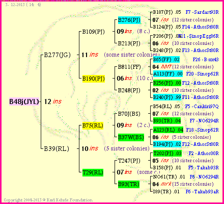 Pedigree of B48j(JYL) :
four generations presented