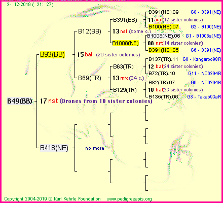 Pedigree of B49(BB) :
four generations presented<br />it's temporarily unavailable, sorry!