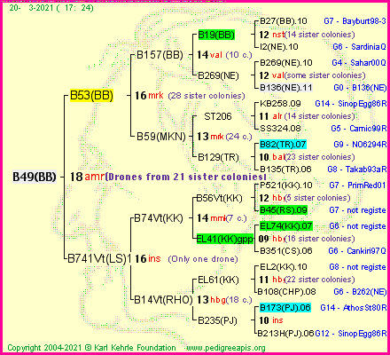 Pedigree of B49(BB) :
four generations presented
it's temporarily unavailable, sorry!