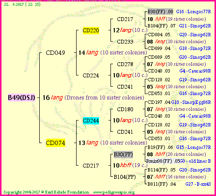 Pedigree of B49(DSJ) :
four generations presented<br />it's temporarily unavailable, sorry!