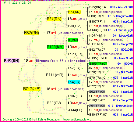 Pedigree of B49(RN) :
four generations presented
it's temporarily unavailable, sorry!