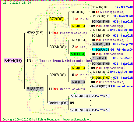 Pedigree of B494(DS) :
four generations presented
it's temporarily unavailable, sorry!