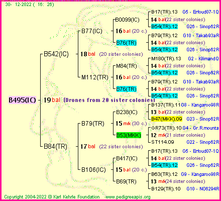 Pedigree of B495(IC) :
four generations presented
it's temporarily unavailable, sorry!